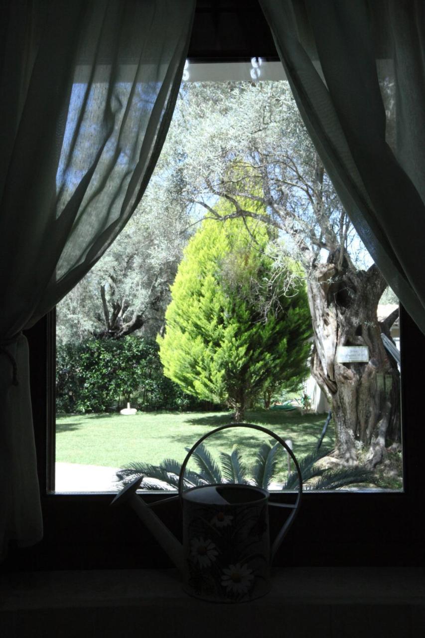 Olivastro Villa Lefkada City Exterior foto
